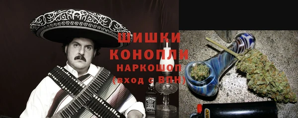 сатива Новокубанск