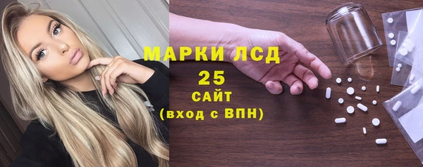 сатива Новокубанск