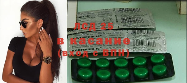 сатива Новокубанск
