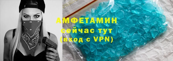 сатива Новокубанск