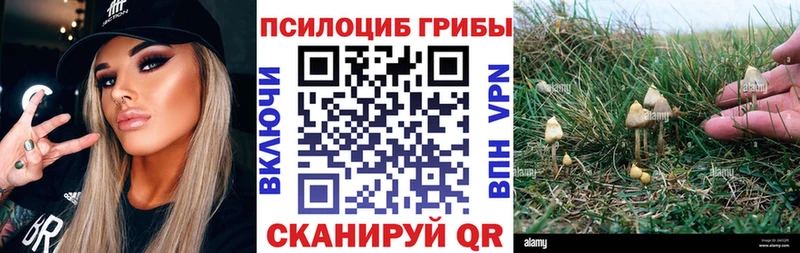 Псилоцибиновые грибы Psilocybine cubensis  где продают наркотики  Владимир 